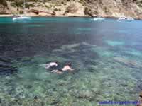 Snorkeling in the crystal clear sea along the rocky sides of Cala Llonga bay 