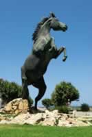 Cuidadela horse statue